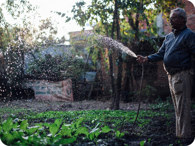 Man standing in his garden watering his plants with a hose 